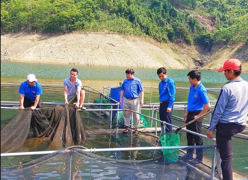 Lang Văn Mão, một chàng trai 8X người dân tộc Thái đã cùng với bạn bè thành lập Hợp tác xã Nông nghiệp dịch vụ Hủa Na (có trụ sở ở bản Tục Pang, xã Đồng Văn) để phát triển chăn nuôi cá lồng lòng hồ với nhiều giống cá bản địa có giá trị cao