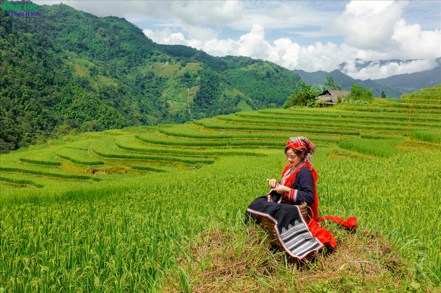 (ẢNH): Ngây ngất vẻ đẹp ruộng bậc thang Hoàng Su Phì 7