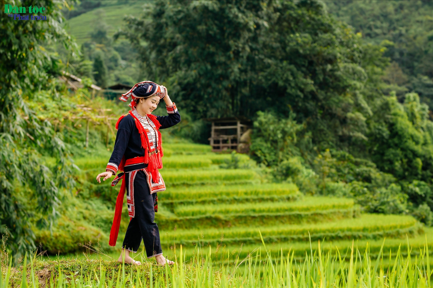 (ẢNH): Ngây ngất vẻ đẹp ruộng bậc thang Hoàng Su Phì 8