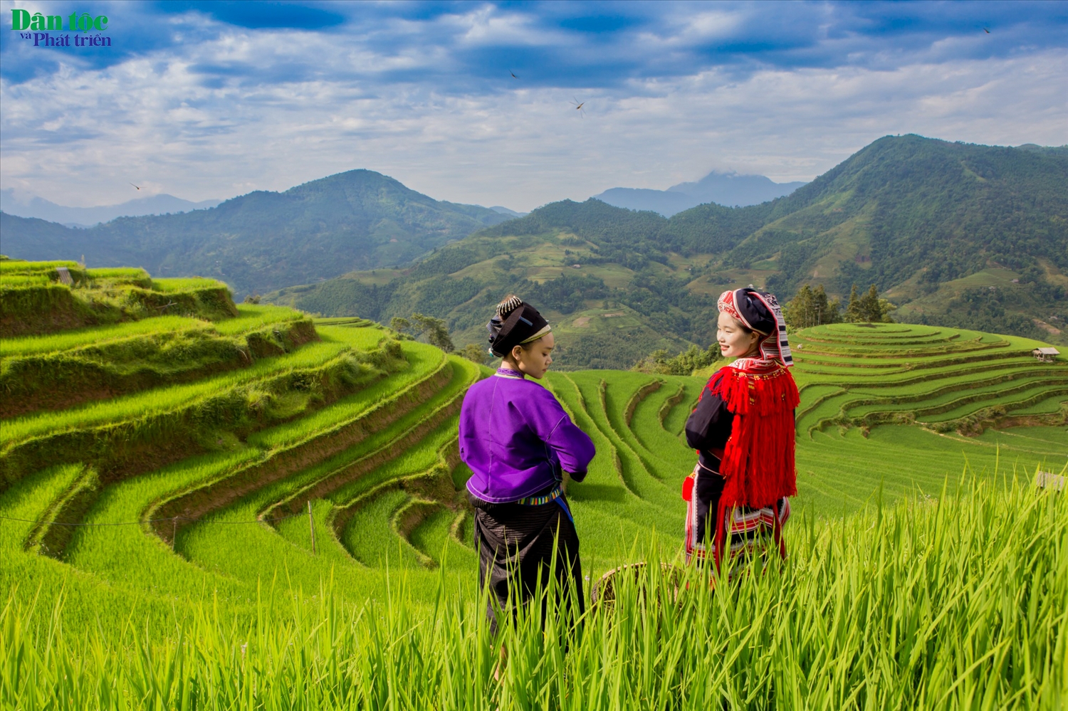 Hoàng Su Phì có tới 12 dân tộc thiểu số sinh sống, đông nhất là dân tộc Nùng với hơn 38%, dân tộc Dao là 22%, Mông 13%, còn lại là các dân tộc khác. 