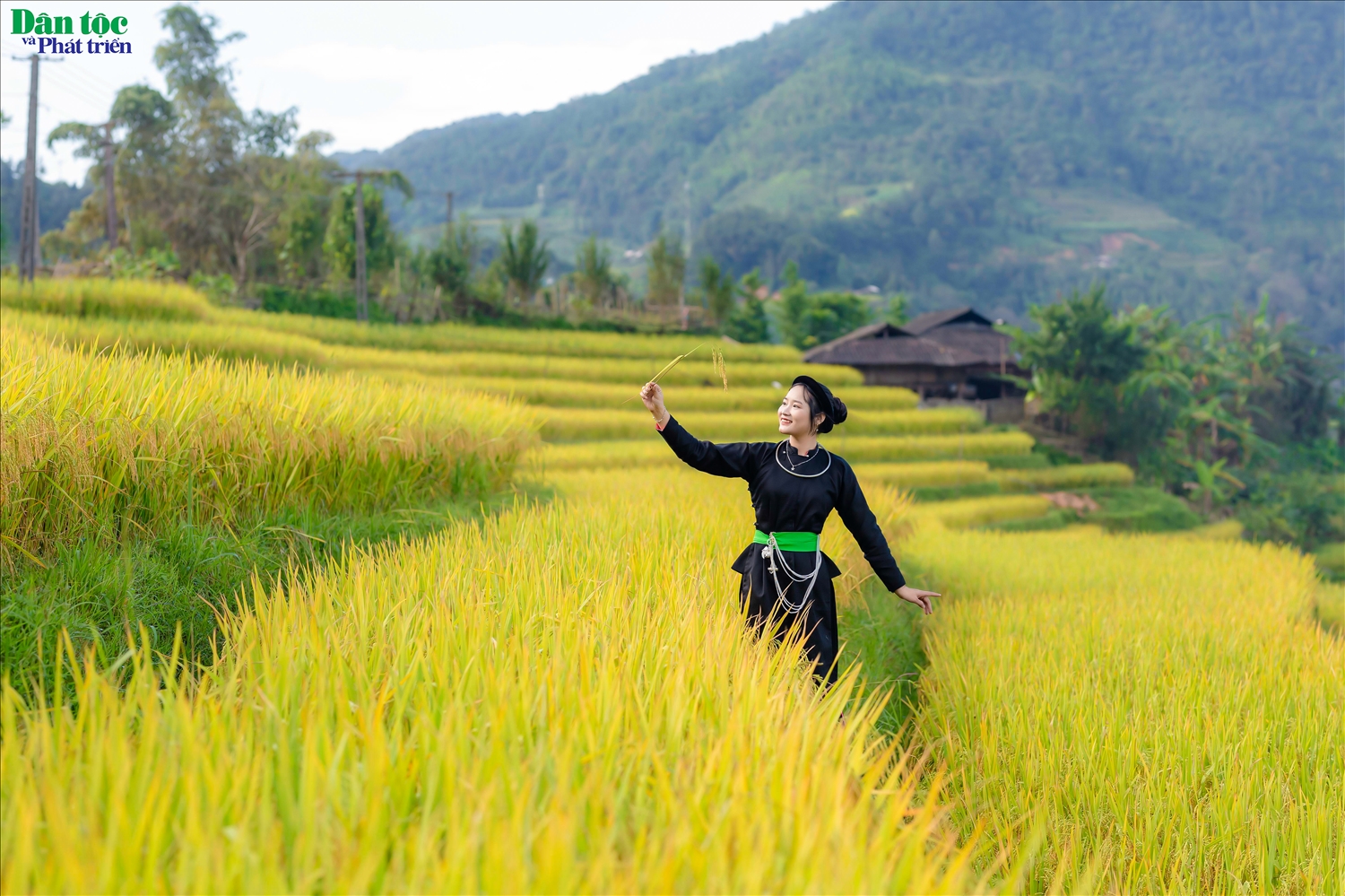 (ẢNH): Ngây ngất vẻ đẹp ruộng bậc thang Hoàng Su Phì 9