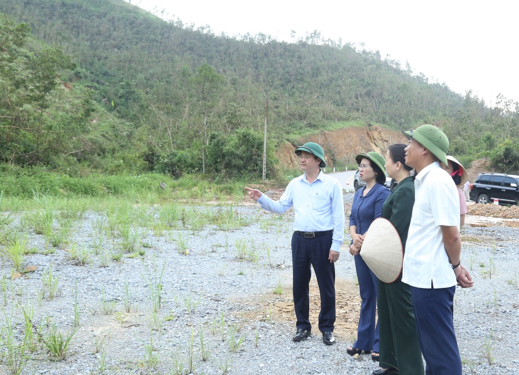 Phó Bí thư Thường trực Tỉnh ủy Quảng Ninh (đứng thứ 2 từ trái sang) kiểm tra diện tích rừng trồng bị thiệt hại do bão của Công ty TNHH MTV lâm nghiệp Hoành Bồ 