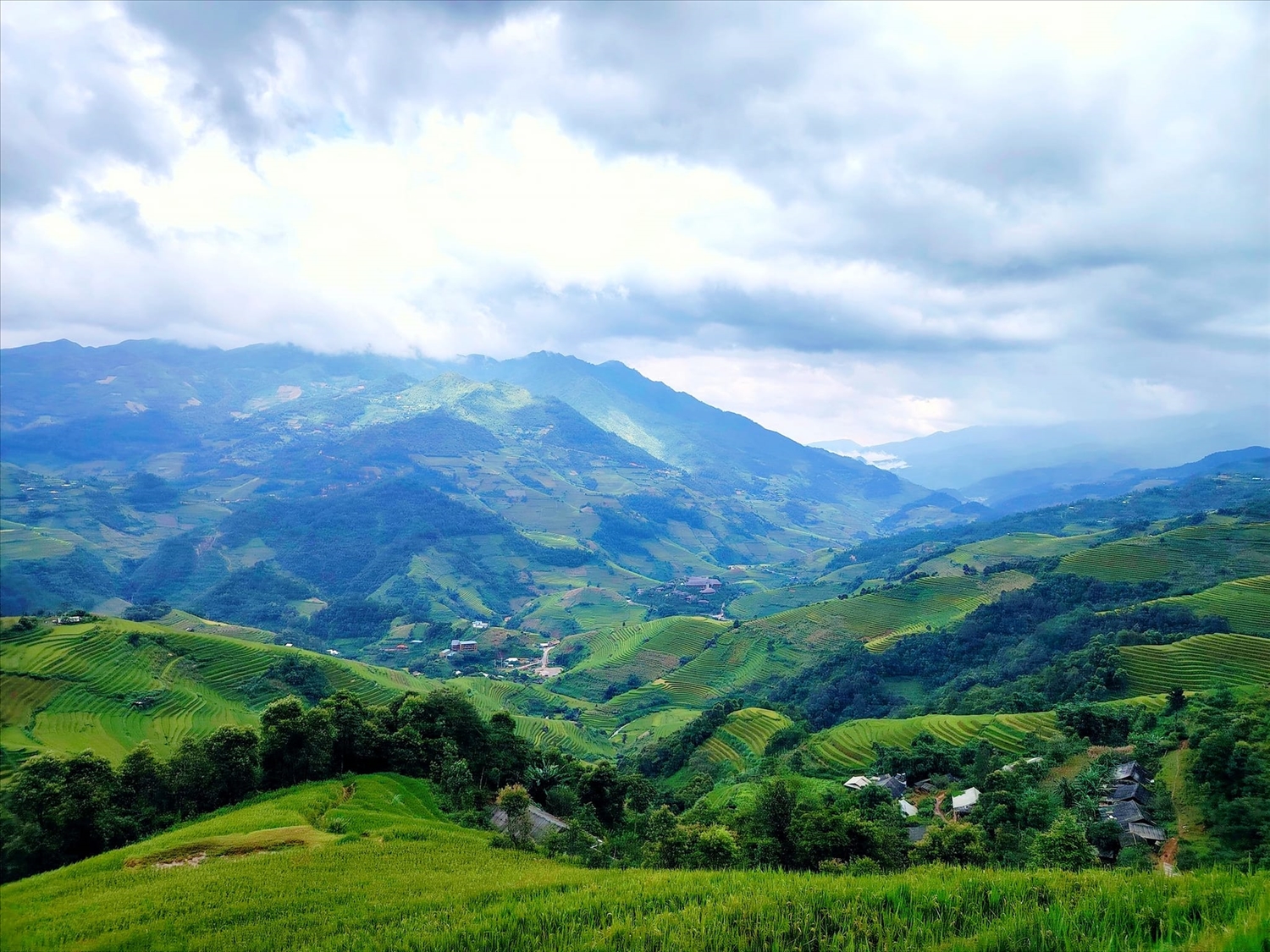 Thời điểm này, lúa tại các thửa ruộng bậc thang đã bắt đầu chuyển sang màu vàng