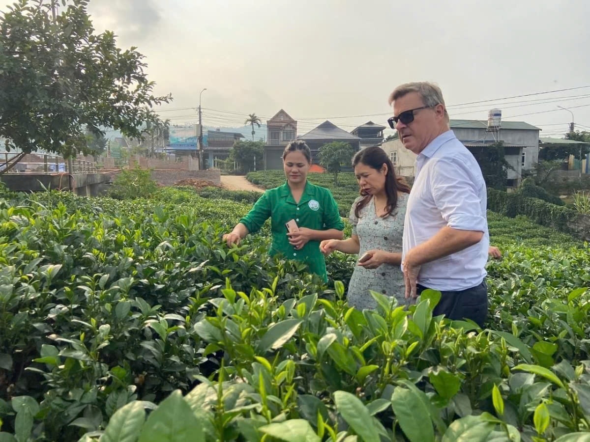 Thương hiệu chè giúp tỉnh Thái Nguyên thu hút du khách. Nguồn: HTX Tâm Trà Thái