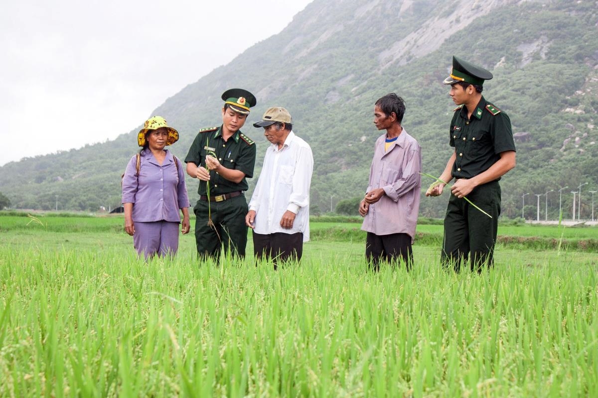 Cán bộ BĐBP Ninh Thuận trao đổi với người dân xã An Hải, huyện Ninh Phước cách chăm sóc lúa nước (Ảnh: Lĩnh Kiên).