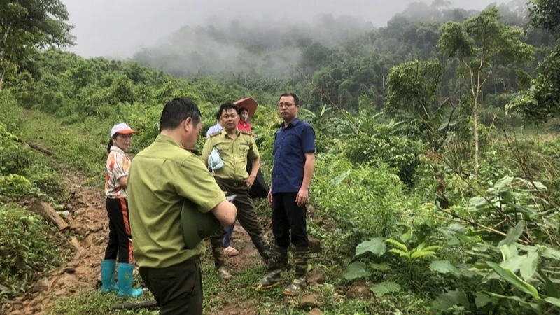 Ban Dân tộc - HĐND tỉnh Bắc Kạn cùng lực lượng kiểm lâm khảo sát tại hiện trường vụ việc