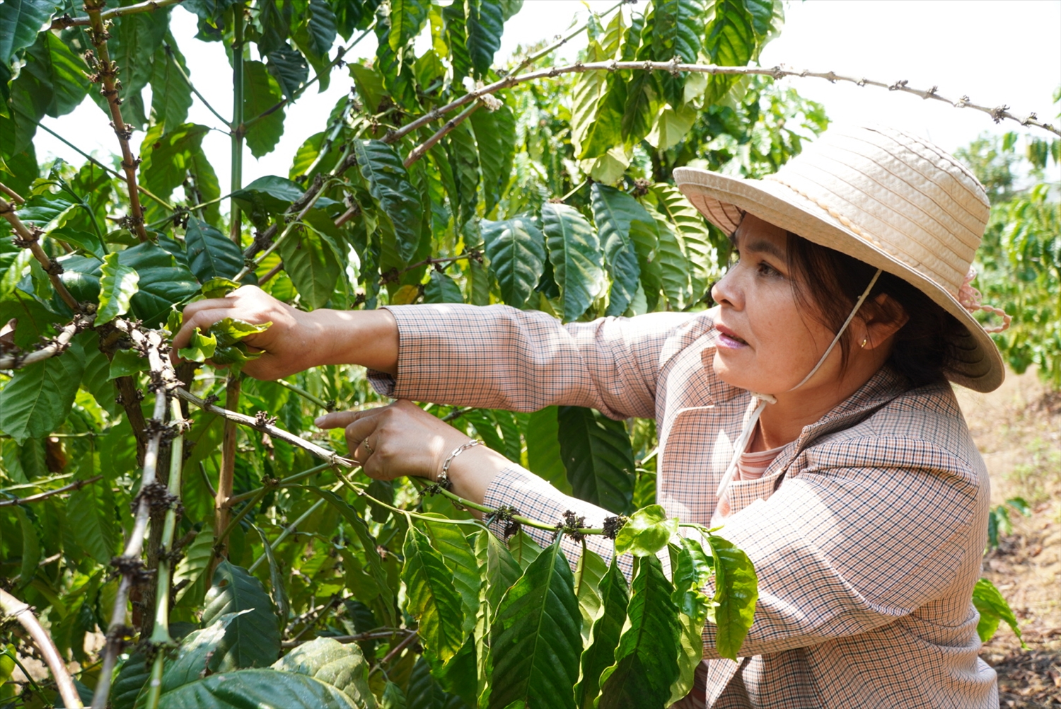 Bà Đinh Thị Hương là một cán bộ thôn gương mẫu, tận tụy ở xã Đăk Kan