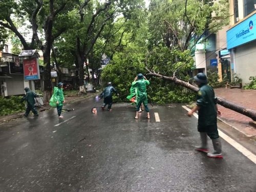 TP Hà Nội hứng chịu cơn mưa lớn kéo dài từ, trong đó có nhiều thời điểm gió giật mạnh khiến nhiều cây xanh đổ gãy