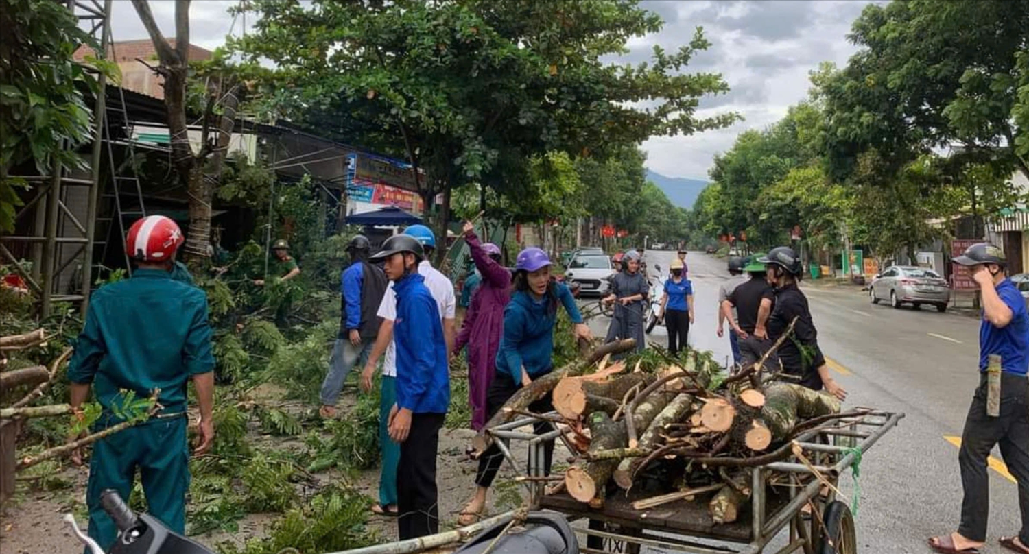 Cây cối bị gãy đổ ở xã Tiền Phong huyện Quế Phong