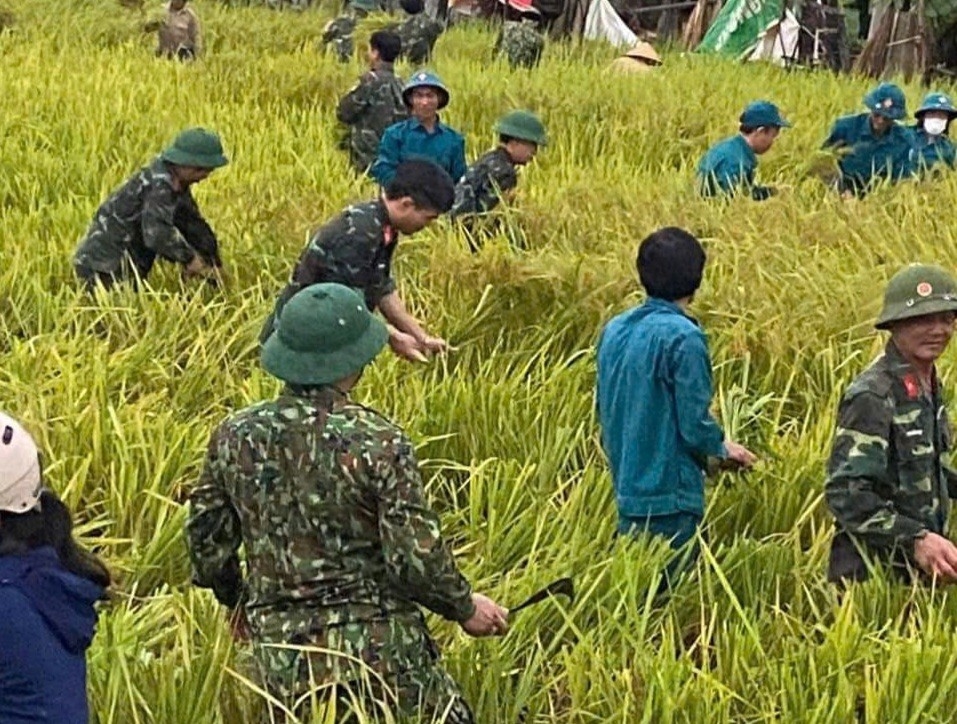 Bộ Chỉ huy Quân sự tỉnh Thanh Hóa đã huy động cán bộ, chiến sĩ tham gia kiểm tra công tác ứng phó, giúp đỡ nhân dân gặt lúa, chằng chống nhà cửa.