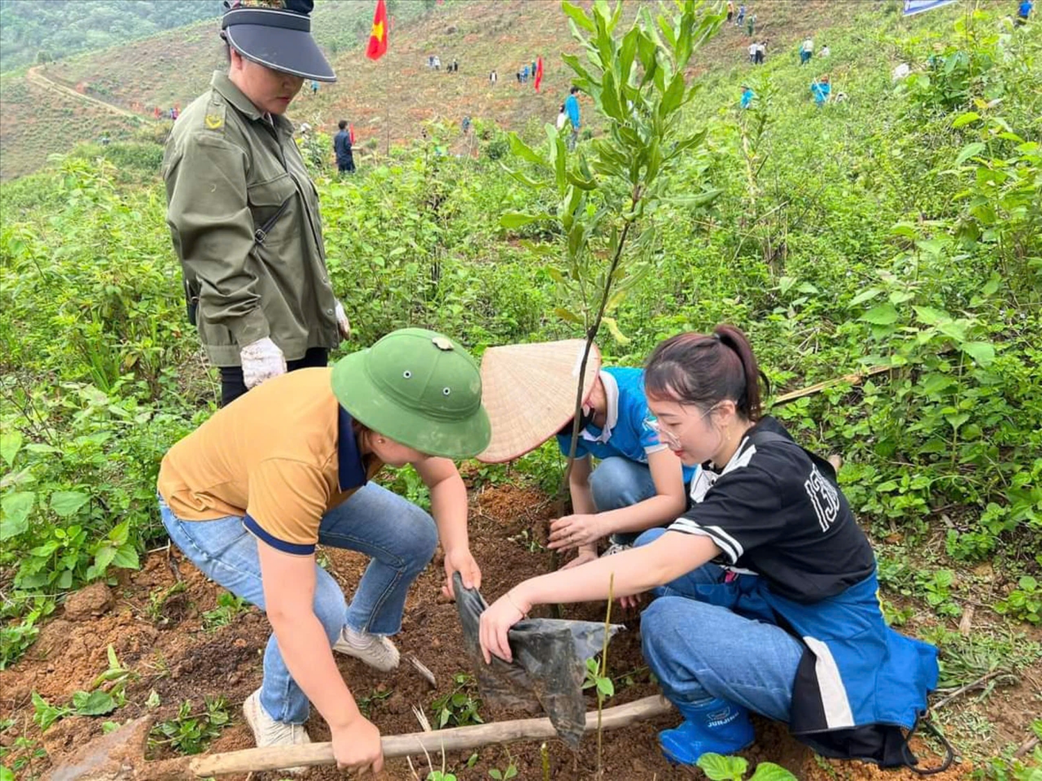 Người dân ở Tuần Giáo được hỗ trợ cây mắc ca từ Dự án 3 “Phát triển sản xuất nông lâm nghiệp bền vững, phát huy tiềm năng, thế mạnh của các vùng miền để sản xuất hàng hóa theo chuỗi giá trị”