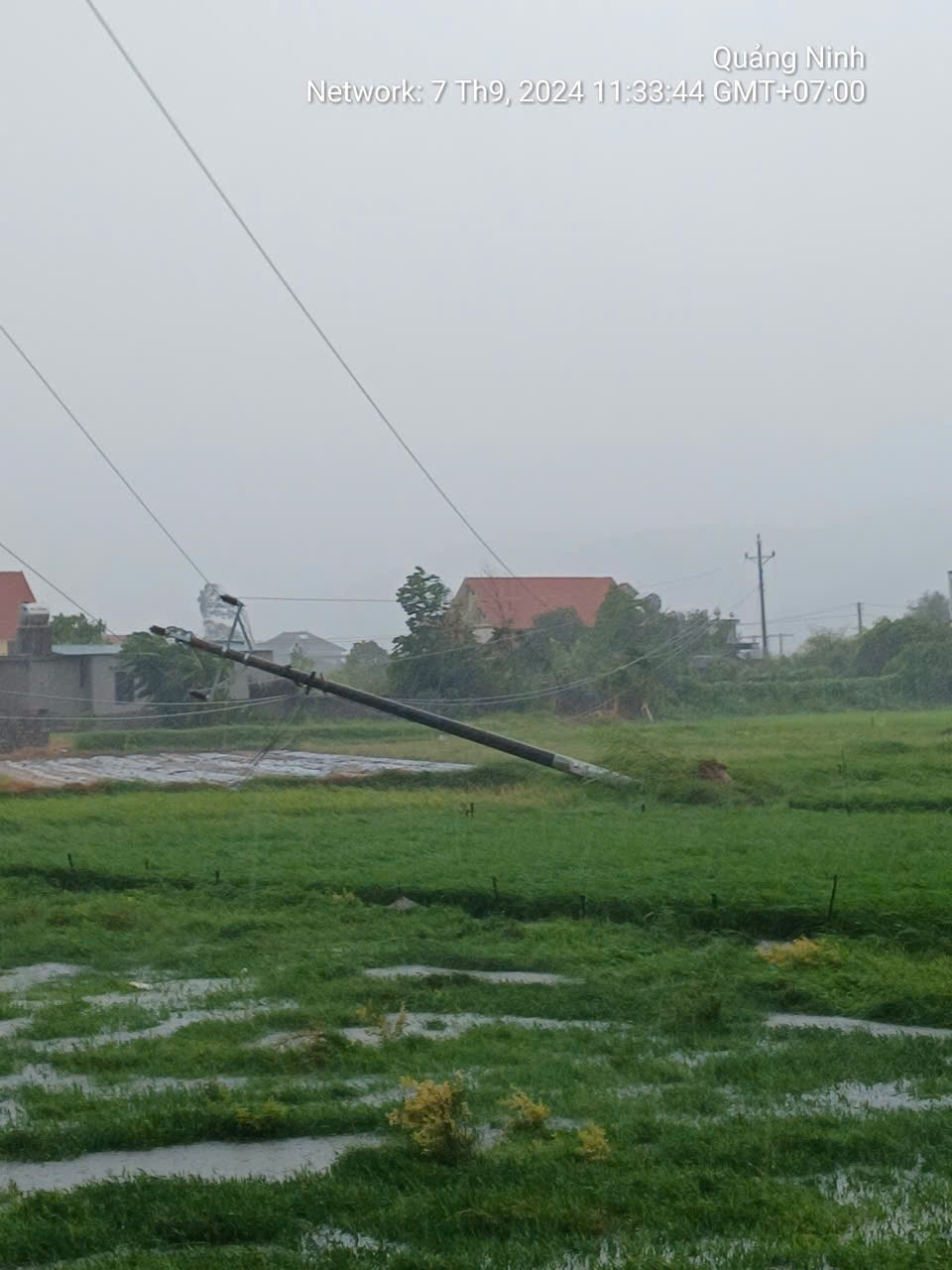 (CĐ Bùi HẠ) Tổng công ty Điện lực miền Bắc thông tin về ảnh hưởng của cơn bão số 3 đến lưới điện đơn vị quản lý vận hành 1