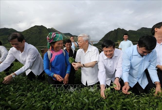 Tổng Bí thư Nguyễn Phú Trọng thăm mô hình thâm canh sản xuất chè VIET GAP ở Bản Cốc Phát , xã nông thôn mới Bản Bo, huyện Tam Đường, tỉnh Lai Châu (14/7/2016). Ảnh: Trí Dũng/TTXVN