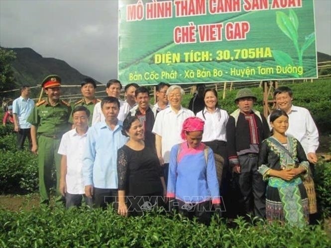 Tổng Bí thư Nguyễn Phú Trọng thăm vùng tròng chè của xã Bản Bo, huyện Tam Đường vào tháng 7/2016. Ảnh: TTXVN phát