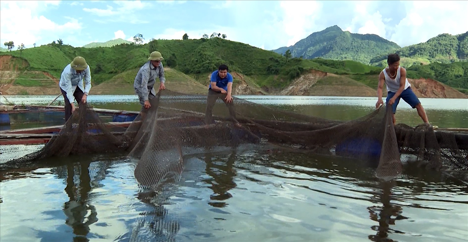 Mô hình nuôi cá lồng bè đang là xu hướng giúp bà con thoát nghèo.