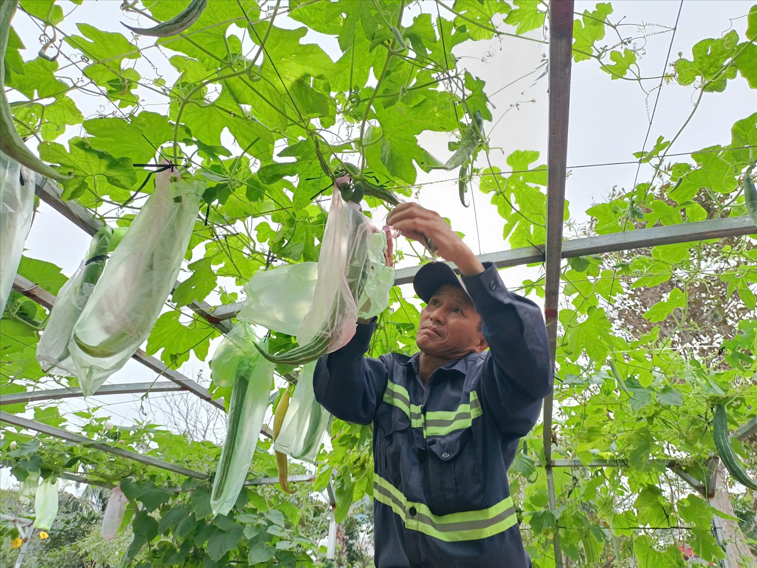 Công nhân đang bố trí tiểu cảnh cho tự nhiên nhất.