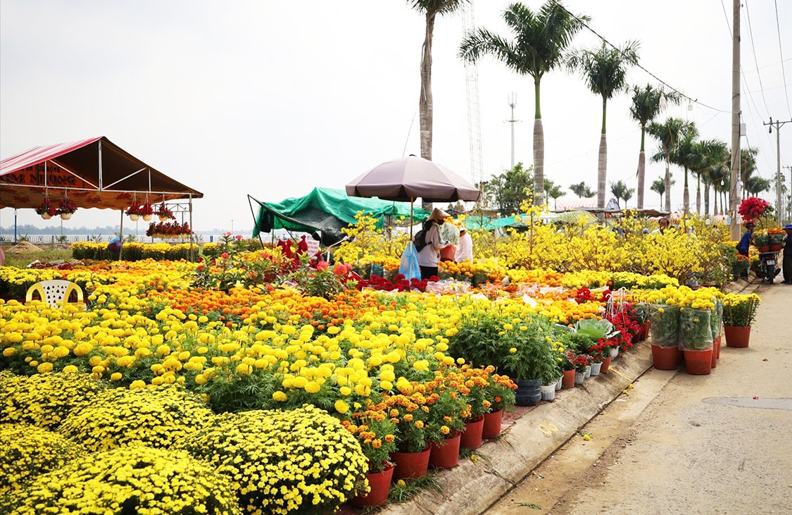 Tiểu thương và nhà vườn tham gia Chợ hoa Xuân Ất Tỵ tại Cần Thơ năm nay sẽ được miễn phí tiền điện, nước, mặt bằng. (Ảnh minh họa: Trung Phạm)