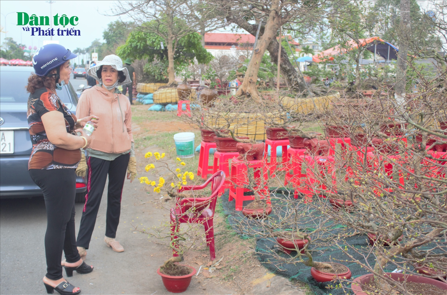 Tuy nhiên, ghi nhận của phóng viên, mặc dù còn khoảng vài ngày nữa là đến Tết Nguyên đán nhưng không khí tại Chợ hoa Xuân ở Quảng trường Tây Đô khá trầm lắng. Lượng người mua và bán thưa thớt, vẫn còn những lô hàng trống.