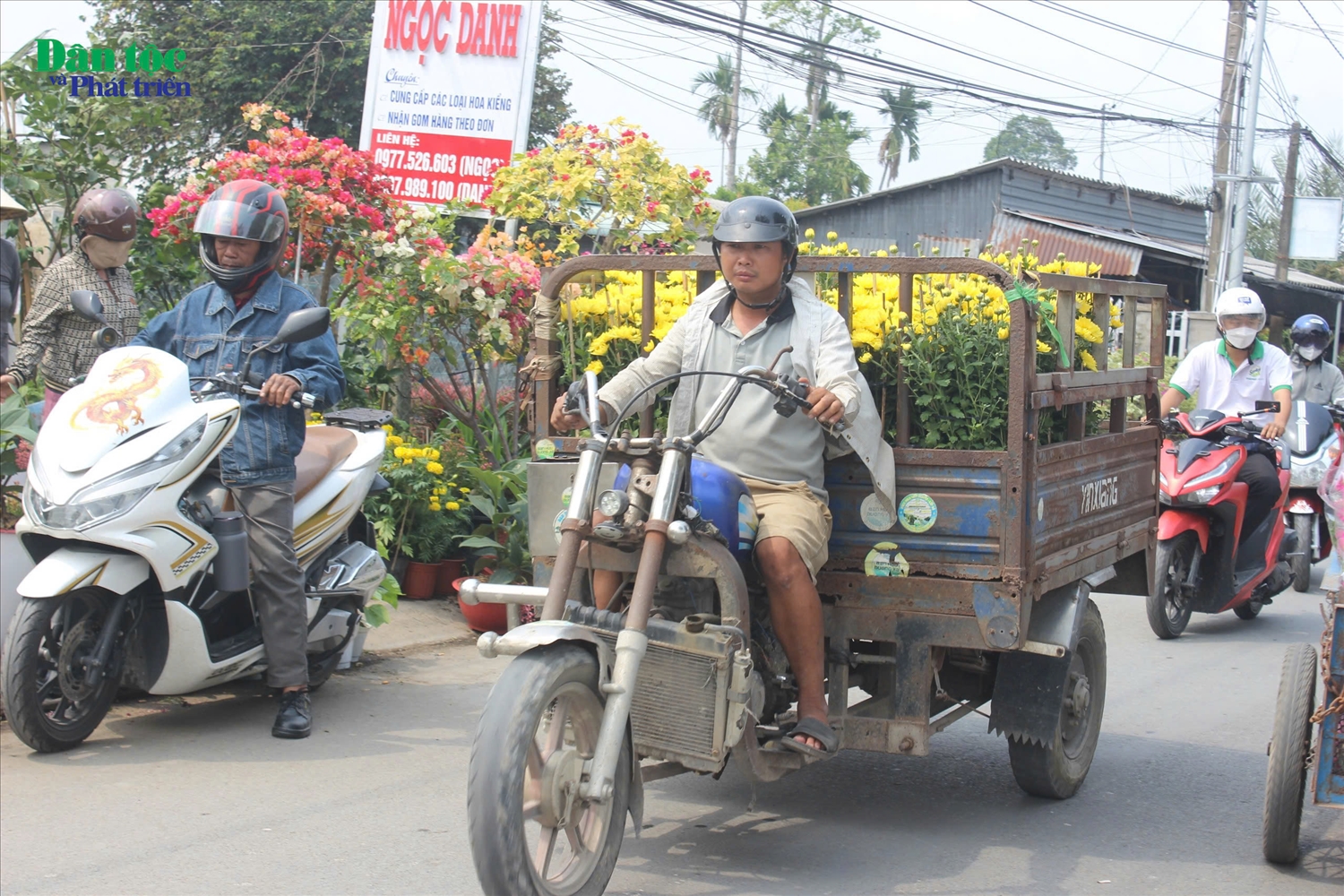 Những xe hoa hối hả ngày xuân