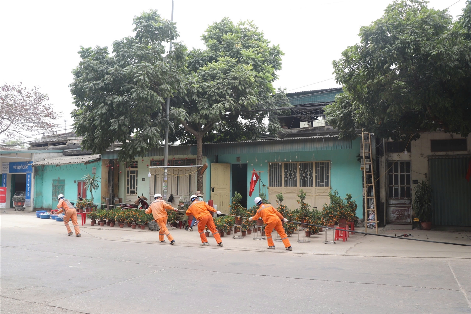 Công nhân Điện lực khu vực thị xã Bỉm Sơn - Hà Trung (Công ty Điện lực Thanh Hoá) thi công cải tạo lưới điện đảm bảo cấp điện phục vụ Nhân dân đón Xuân Ất Tỵ 2025.