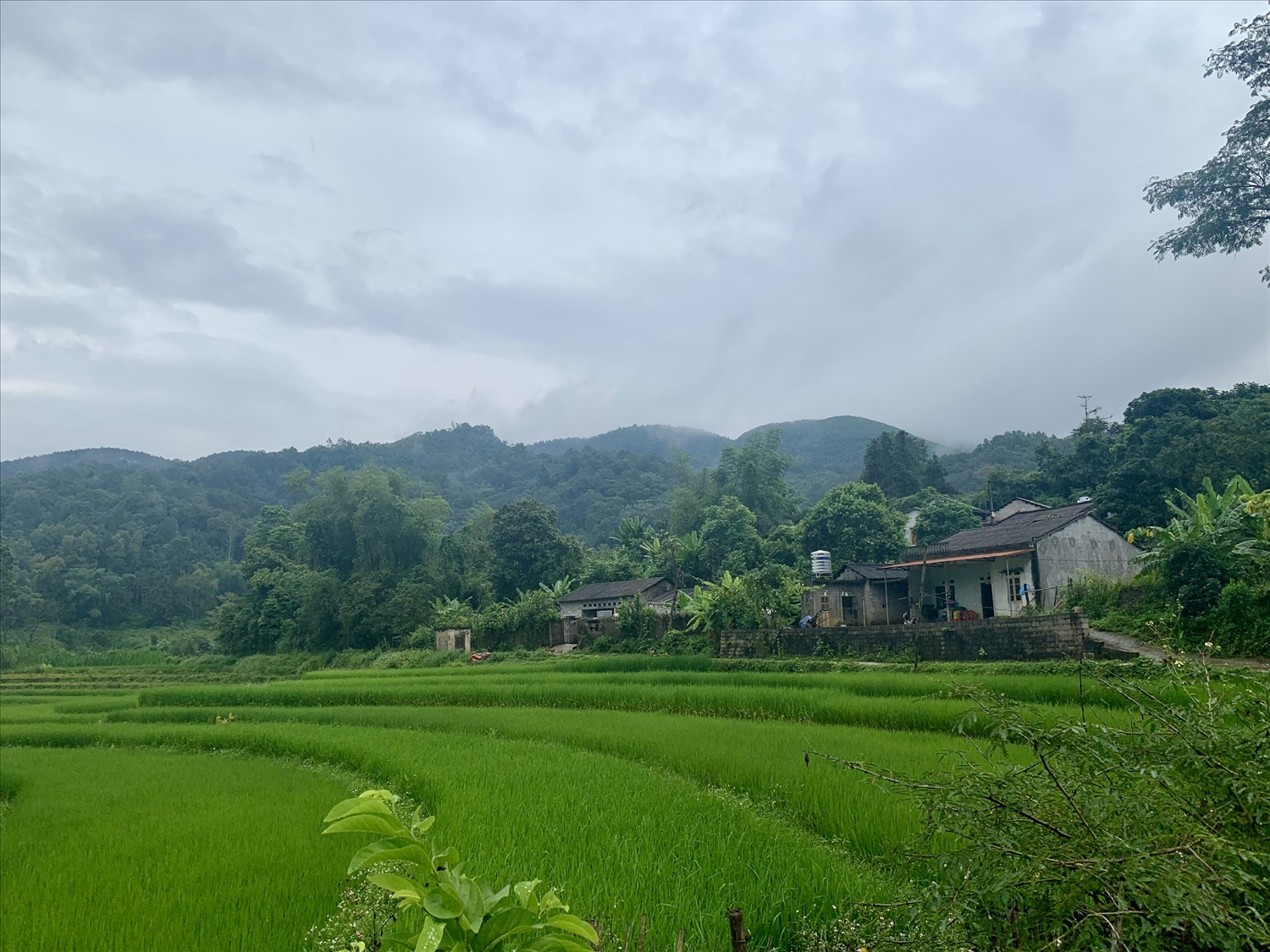 Văn Lãng là địa bàn biên giới, có các cửa khẩu và cặp chợ đường biên giữa Việt Nam - Trung Quốc, có quốc lộ 4A chạy qua, nhiều người nghiện ma túy… tiềm ẩn nguy phức tạp về một số loại tội phạm như xuất nhập cảnh trái phép, tội phạm hoạt động lưu động