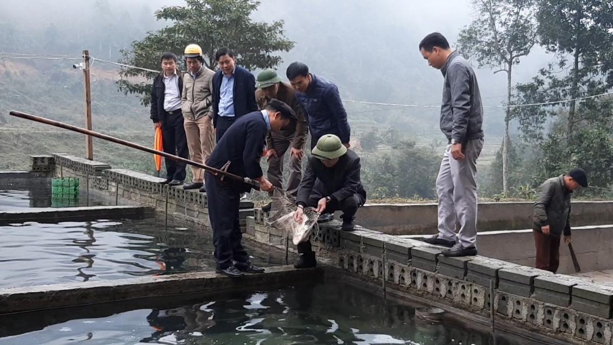 Mô hình chăn nuôi cá Tầm của gia đình anh Triệu Chằn Loàng.