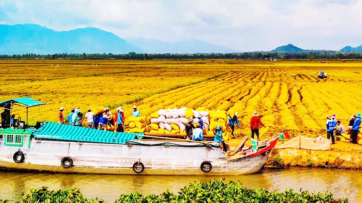 Mô hình này đóng vai trò tích cực trong việc cải tạo đất, giảm phát thải khí nhà kính (Ảnh IT)