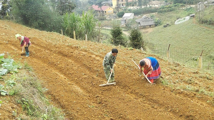 Ngành nông nghiệp Việt Nam đang chuyển sang mục tiêu “lấy giá trị, sinh thái và bền vững làm trọng tâm” (Ảnh IT)