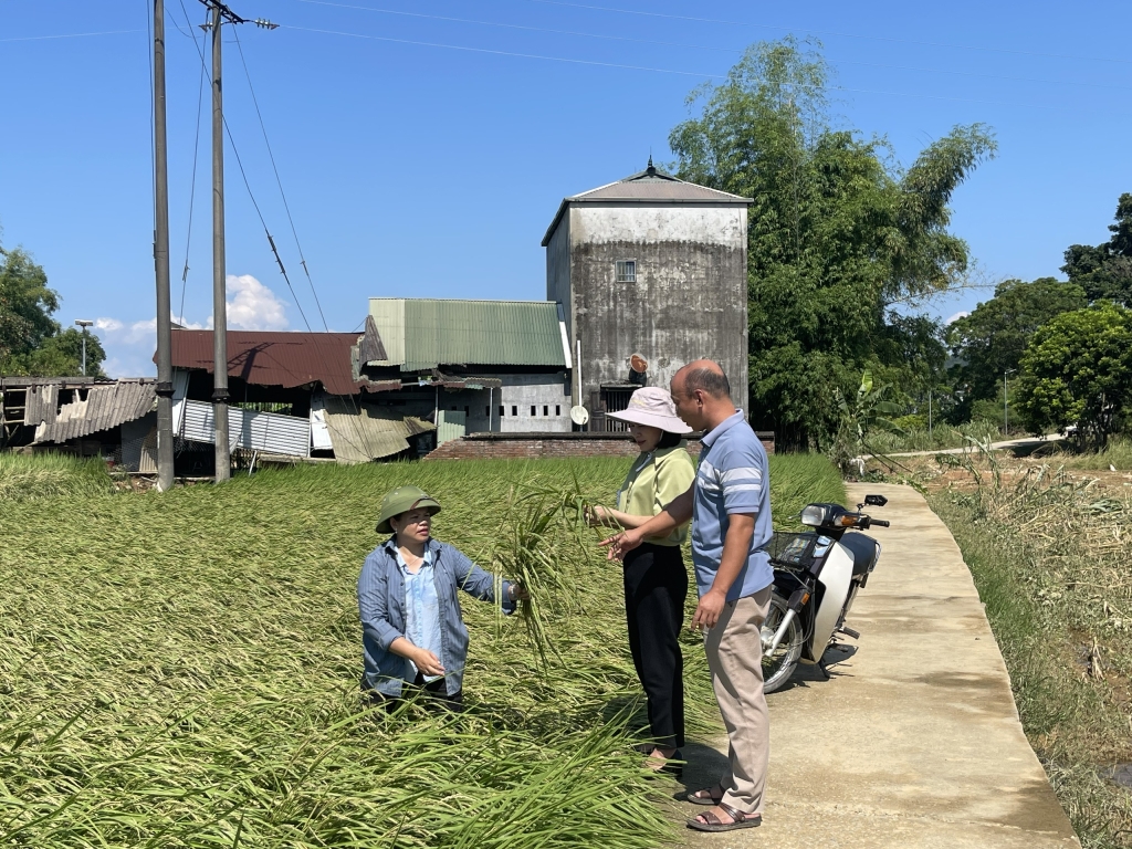 Lãnh đạo Chi cục Trồng trọt, Sở NN&MT tỉnh Cao Bằng phối hợp với chính quyền xã Hòa An kiểm tra, rà soát thống kê thiệt hại hoa màu tại xóm Nà Tẻng (Ảnh BCB).