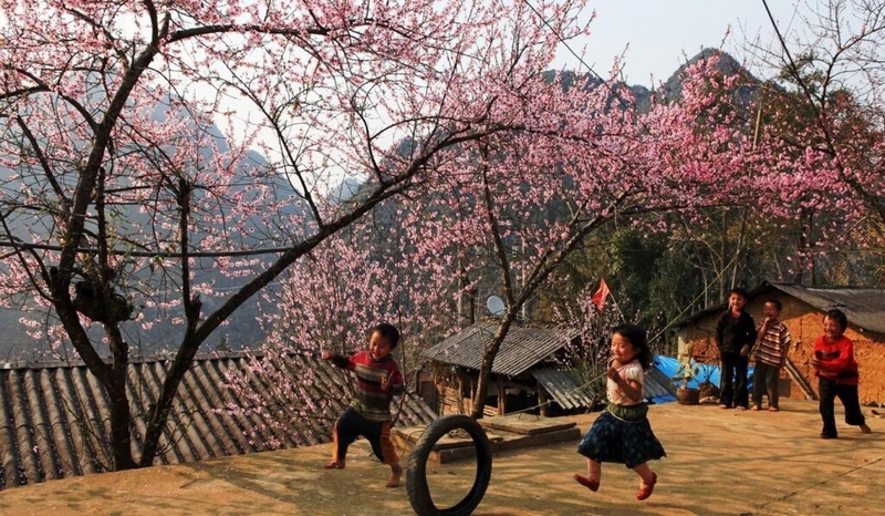 Thủ tướng Chính phủ đồng ý phương án nghỉ Tết Bính Ngọ 9 ngày liên tục (Ảnh minh họa).