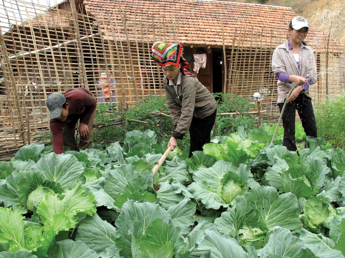 Đến nay, về cơ bản các hộ dân vùng lòng hồ thủy điện Sơn La đã được bố trí nơi ở mới khang trang, có đất sản xuất, được hỗ trợ sinh kế để ổn định cuộc sống lâu dài.