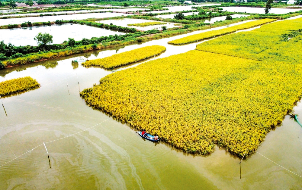Chuyển đổi xanh trong sản xuất nông nghiệp góp phần nâng cao giá trị gia tăng (Ảnh IT)