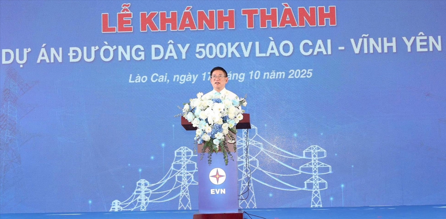 Phó Thủ tướng Hồ Đức Phớc phát biểu tại buổi lễ (ảnh Tập đoàn Điện lực)