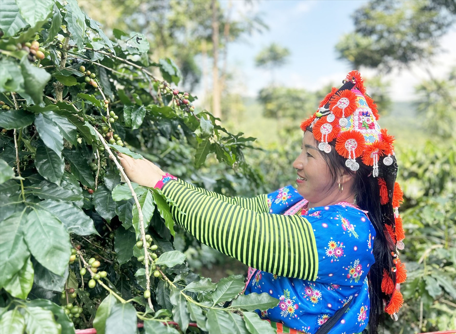 (Ảnh: Thúy Hồng)