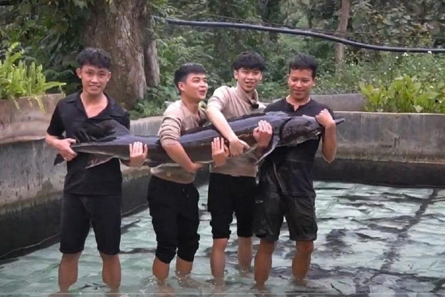 Cá tầm Siberi sẽ được kết nối, tiêu thụ tại Tuần lễ Nông sản Việt 2025