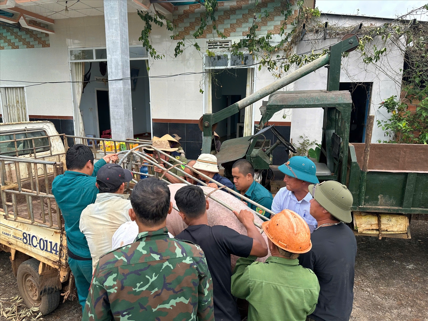 Vật nuôi cùng nhiều tài sản khác của người dân nhanh chóng được di dời nhằm giảm thiểu thiệt hại do sạt lở gây ra