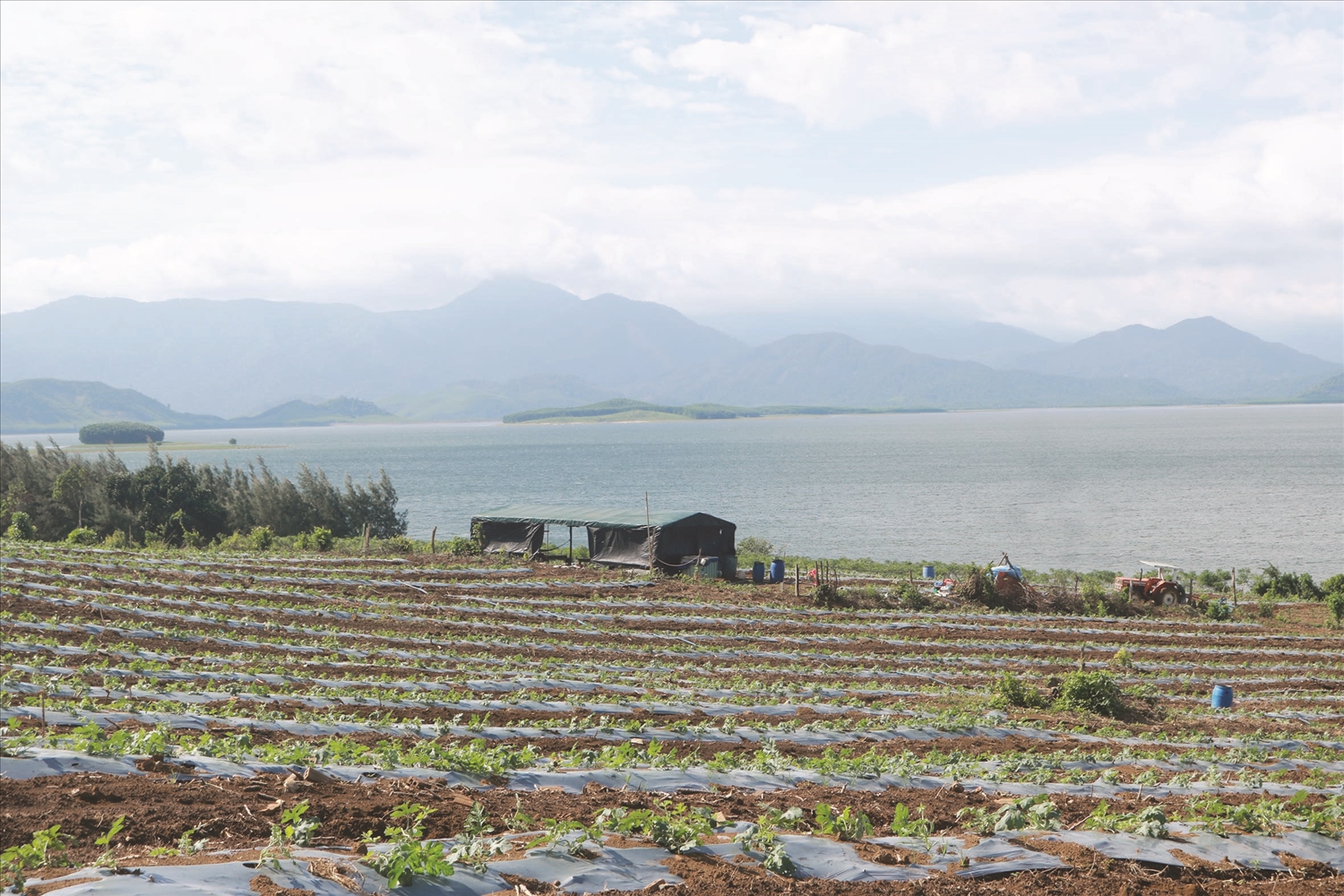 Người dân buôn Thung tăng gia sản xuất ở bờ hồ Thủy điện Sông Hinh- Ảnh : H.H.THẾ.