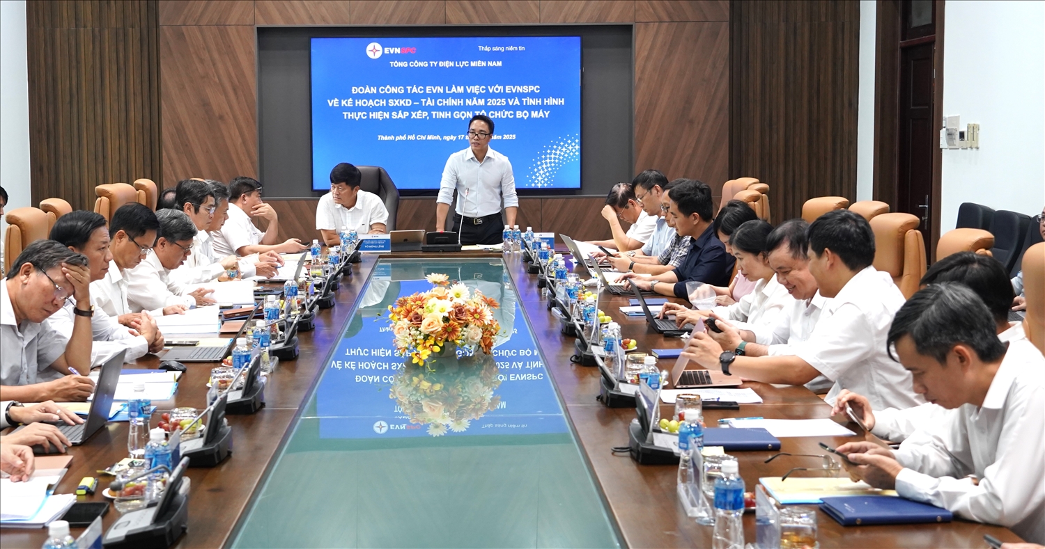 Ông Cao Quang Quỳnh – Thành viên HĐTV EVN phát biểu tại buổi làm việc với lãnh đạo EVNSPC