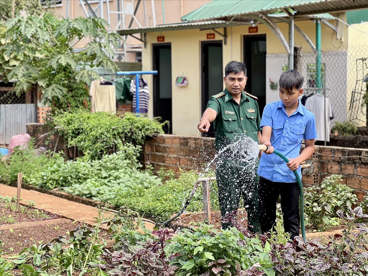 Ngoài việc học tập, em Rơ Châm Trí Nguyễn (xã Ia Pnôn) còn giúp các bố nuôi Đồn Biên phòng Ia Pnônchăm sóc vườn rau xanh Ngoài việc học tập, em Rơ Châm Trí Nguyễn (xã Ia Pnôn) còn giúp các "bố nuôi" Đồn Biên phòng Ia Pnôn chăm sóc vườn rau xanh
