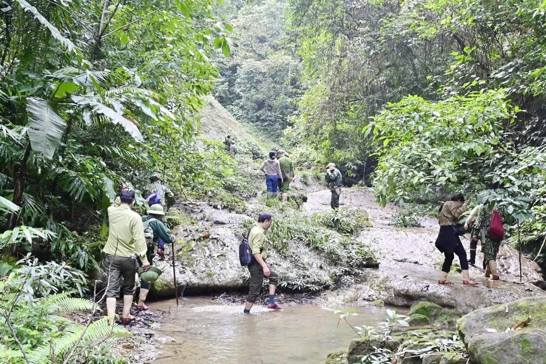 Người dân ở bản Phú Minh cùng lực lượng chức năng tuần tra, bảo vệ rừng (Ảnh: X.V)