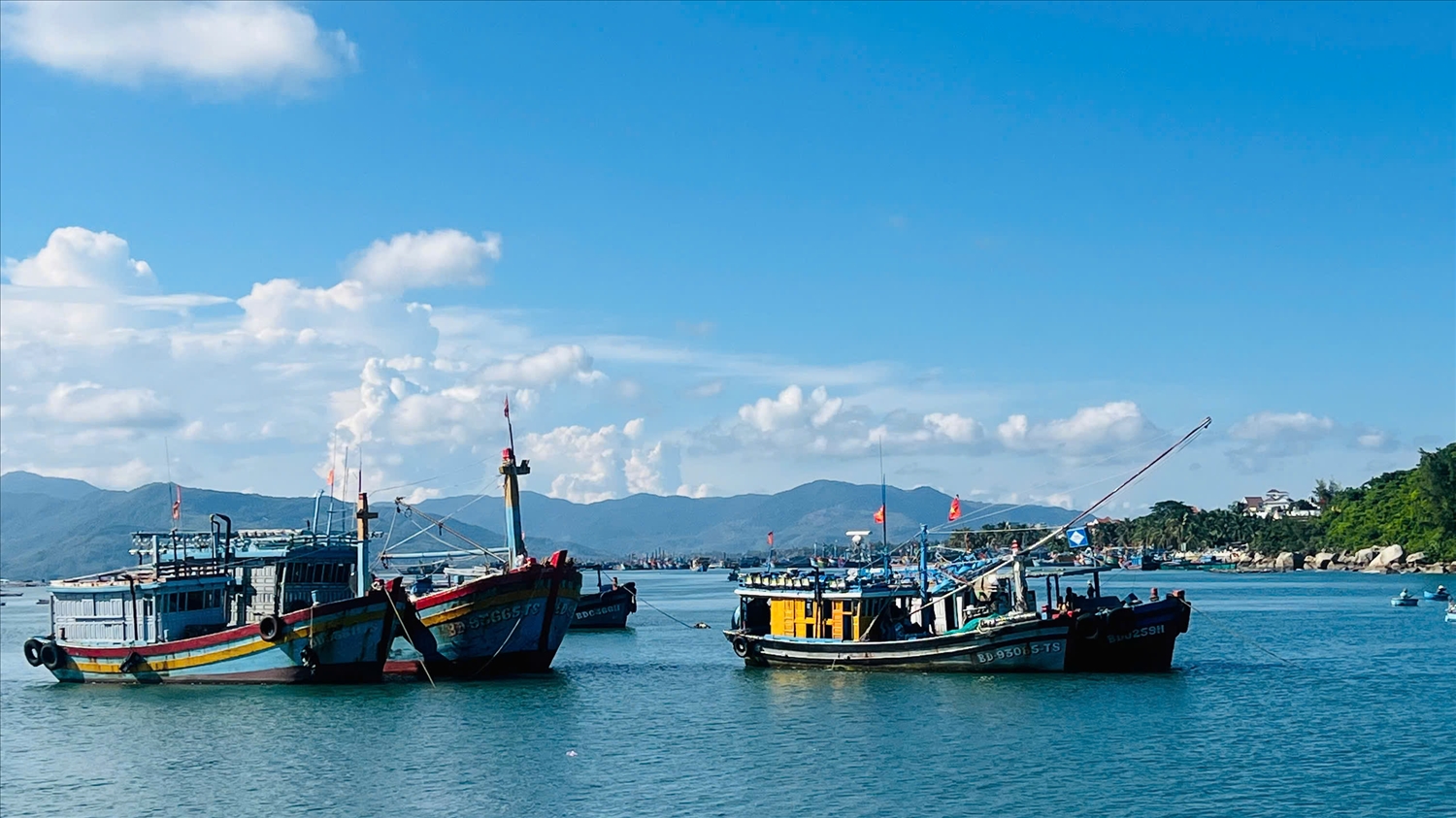 Tỉnh Gia Lai đã tập trung mọi nguồn lực, quyết tâm cùng cả nước gỡ "thẻ vàng" IUU Tỉnh Gia Lai đã tập trung mọi nguồn lực, quyết tâm cùng cả nước gỡ "thẻ vàng" IUU