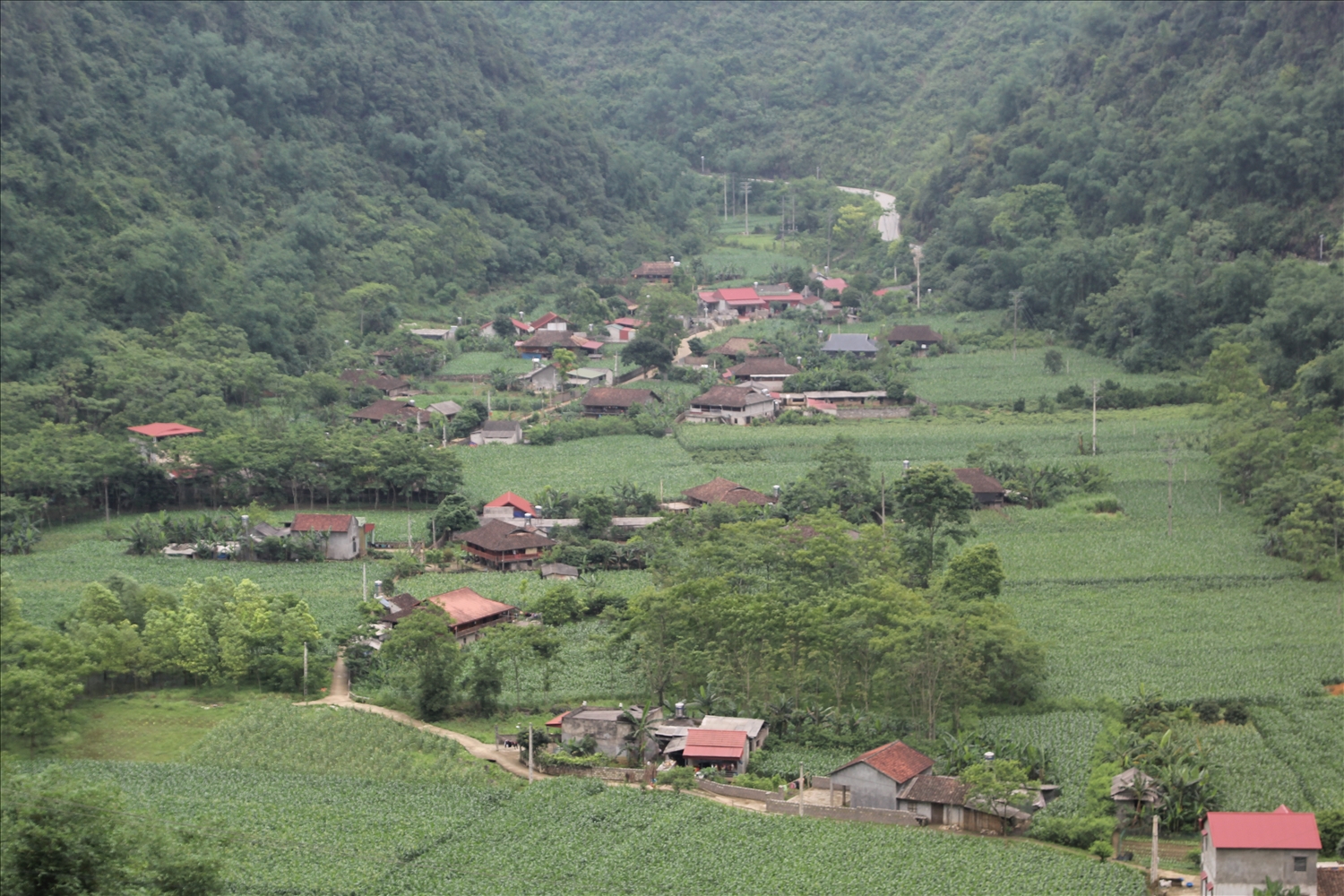 Tại nhiều địa phương việc triển khai Dự án 8 bị thu hẹp phạm vi, đối tượng thụ hưởng so với đầu giai đoạn