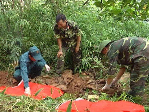 Ảnh minh họa Ảnh minh họa