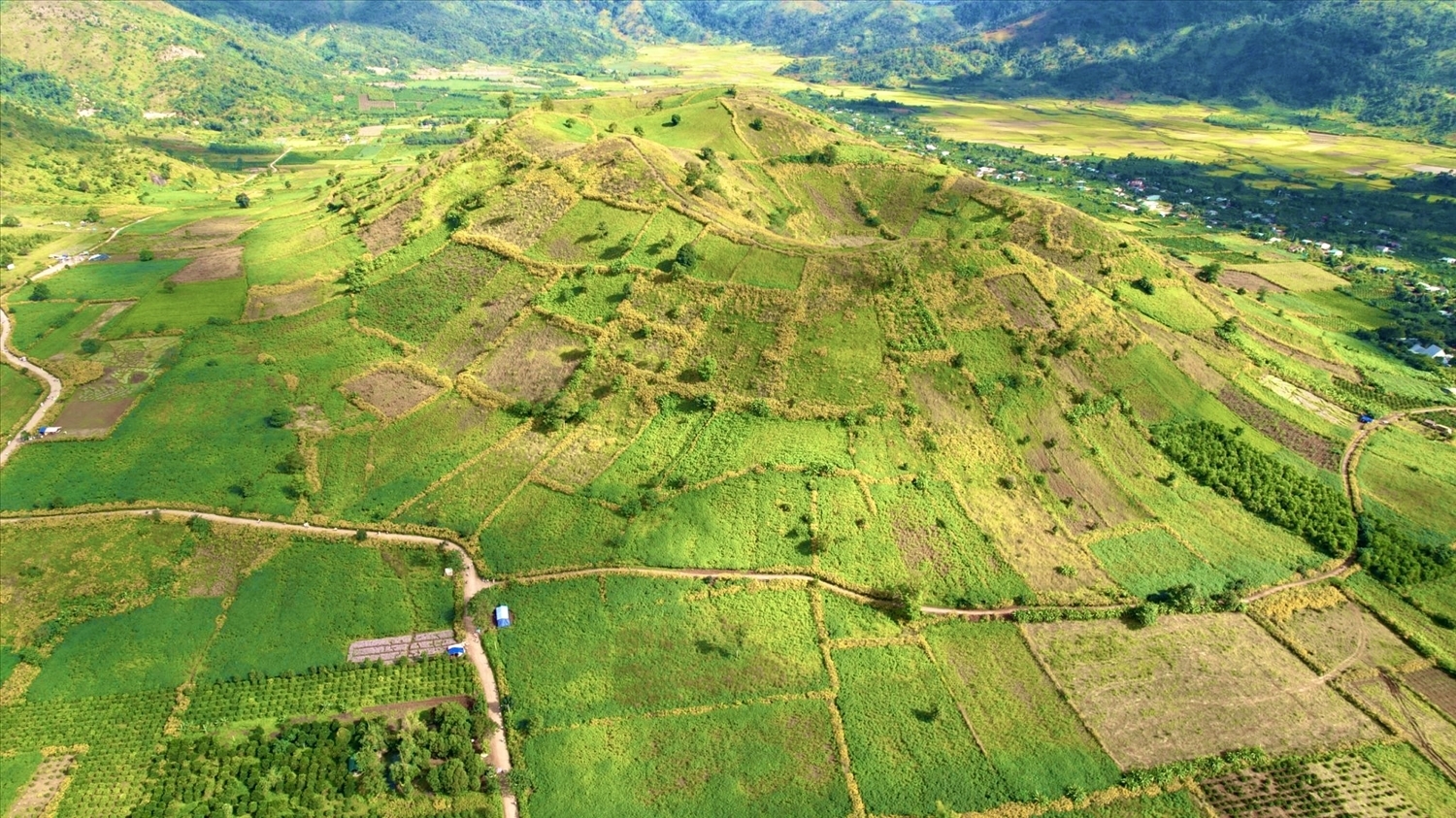 Núi lửa Chư Đang Ya - ngọn núi đã ngưng hoạt động hàng triệu năm dần khoác lên mình chiếc áo vàng óng ánh