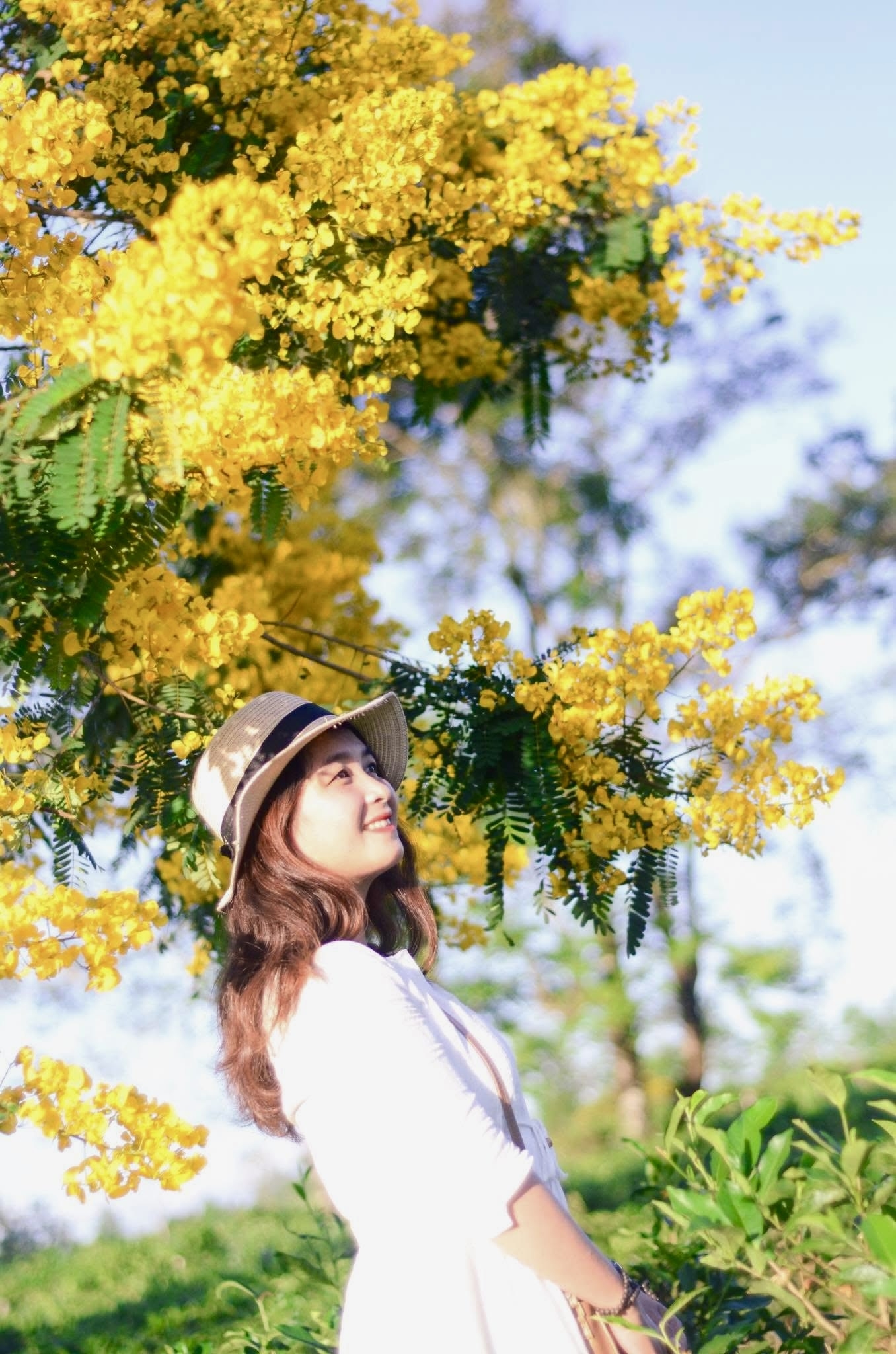 Du khách tranh thủ chụp ảnh, lưu lại khoảnh khắc đẹp bên hoa muồng vàng