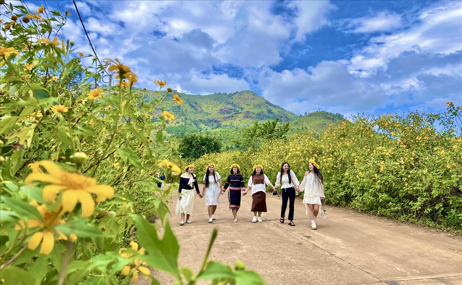 Du khách tận hưởng, chiêm ngưỡng hương sắc hoa vàng dọc cung đường dẫn vào núi lửa Chư Đang Ya