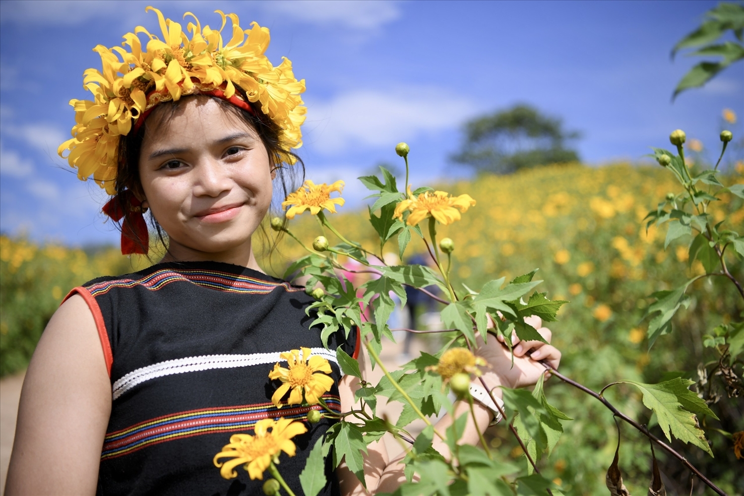Cô gái Gia Rai bên hoa dã quỳ rực rỡ sắc vàng