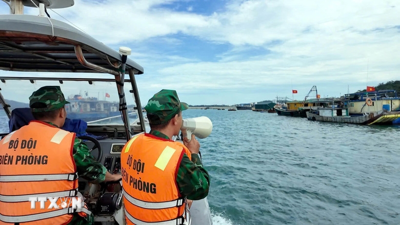Cán bộ, chiến sĩ BĐBP Quảng Ninh kêu gọi tàu thuyền về nơi tránh trú bão an toàn. (Ảnh: TTXVN)