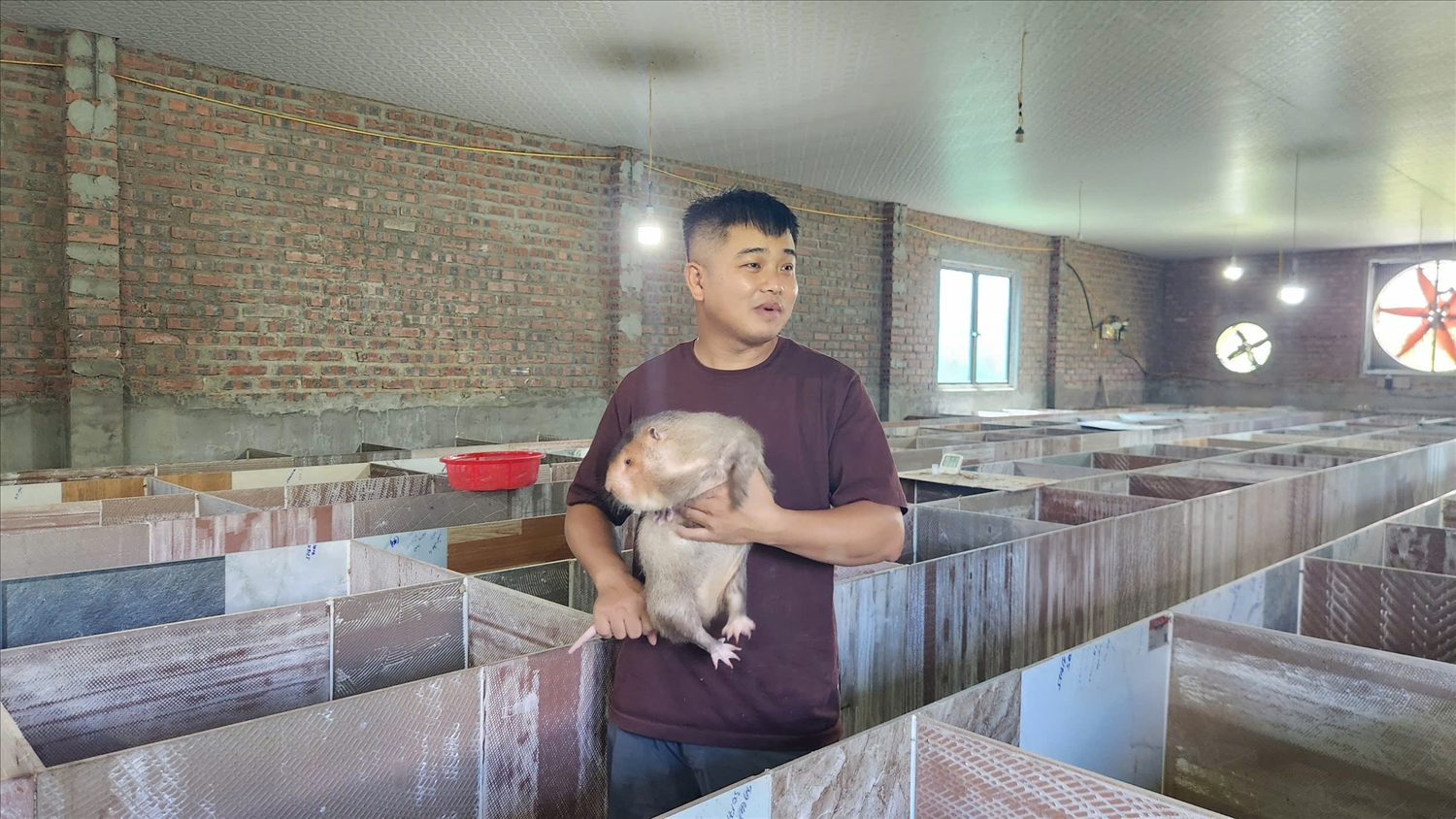 Anh Si phấn khởi chia sẻ về mô hình nuôi dúi của gia đình