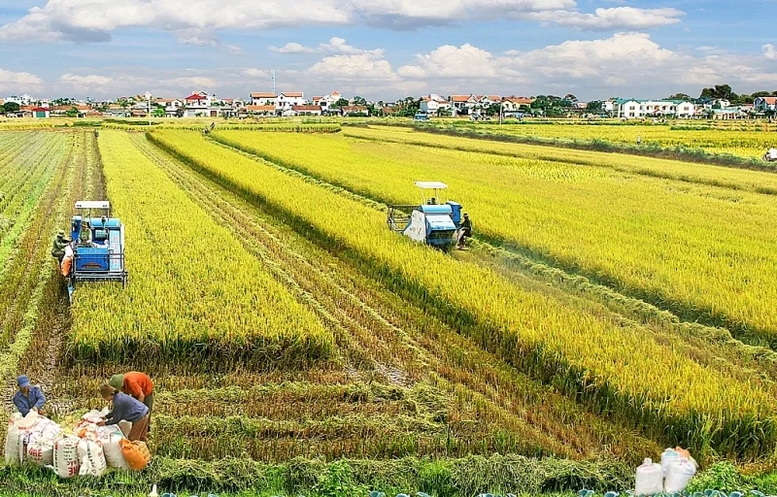 Bộ Tài chính đề xuất sửa đổi các quy định về tiền sử dụng đất (Ảnh MH)